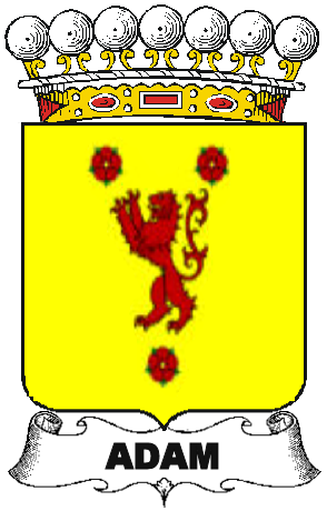 ADAM-(2)-UNCATEGORIZED-COA