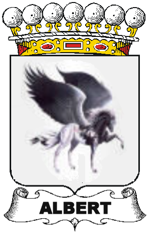 ALBERT-(2)-UNCATEGORIZED-COA