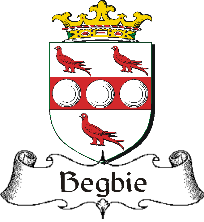 BEGLEY–IRISH-BADGE