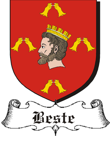 BESTE–ENGLISH-&-WELSH-SHIELDS