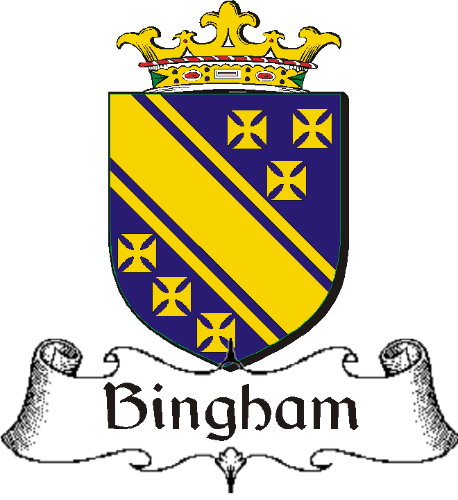 BINGHAM–IRISH-BADGE
