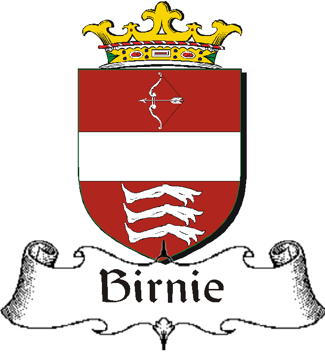 BIRNIE–IRISH-BADGE