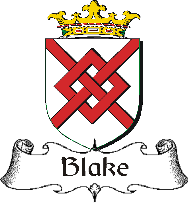 BLAKE–IRISH-BADGE