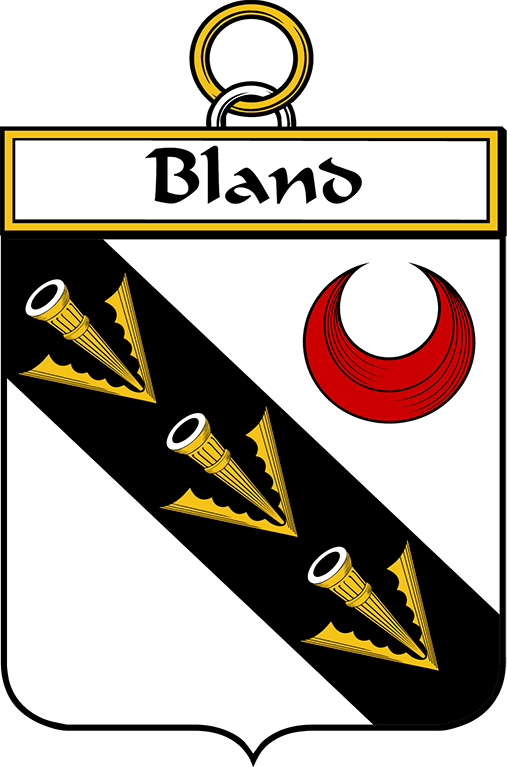BLAND–IRISH-SHIELD
