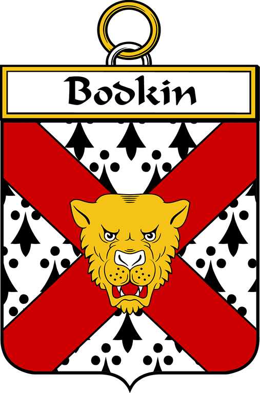 BODKIN–IRISH-SHIELD