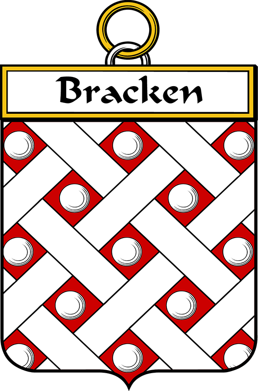 BRACKEN-OR-O’BRACKEN–IRISH-SHIELD