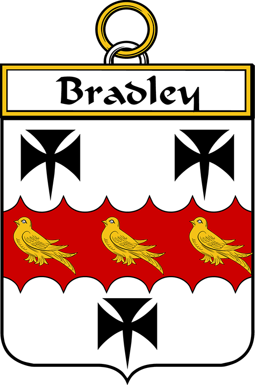 BRADLEY–IRISH-SHIELD
