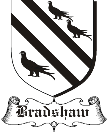 BRADSHAW–ENGLISH-&-WELSH-SHIELDS