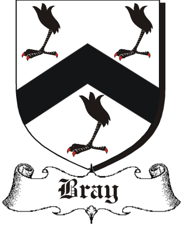 BRAY–ENGLISH-&-WELSH-SHIELDS