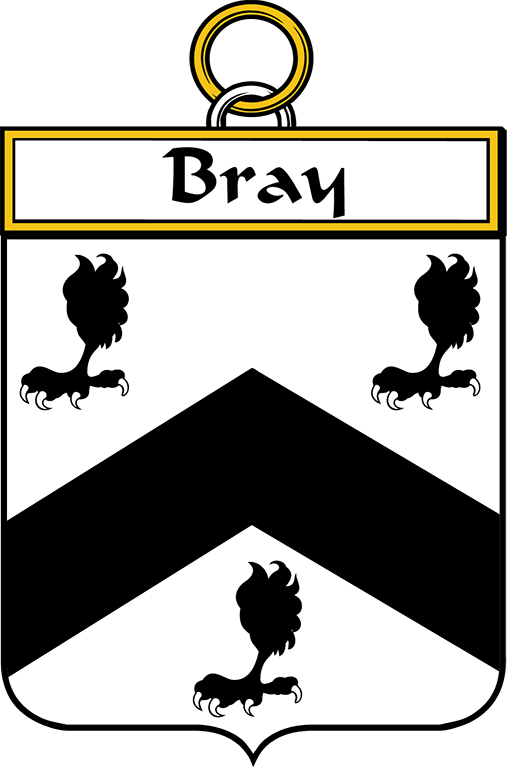 BRAY-OR-MCBRAY–IRISH-SHIELD