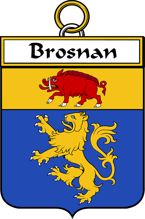 BROSNAN-OR-O’BROSNAN–IRISH-SHIELD