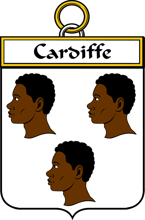 CARDIFFE–IRISH-SHIELD