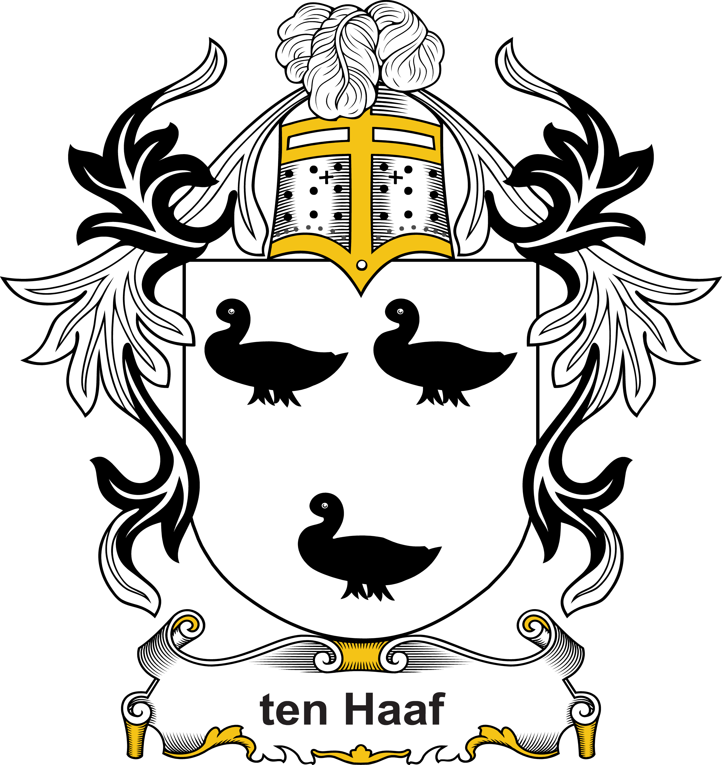 HAAF-(TEN)–DUTCH-COA