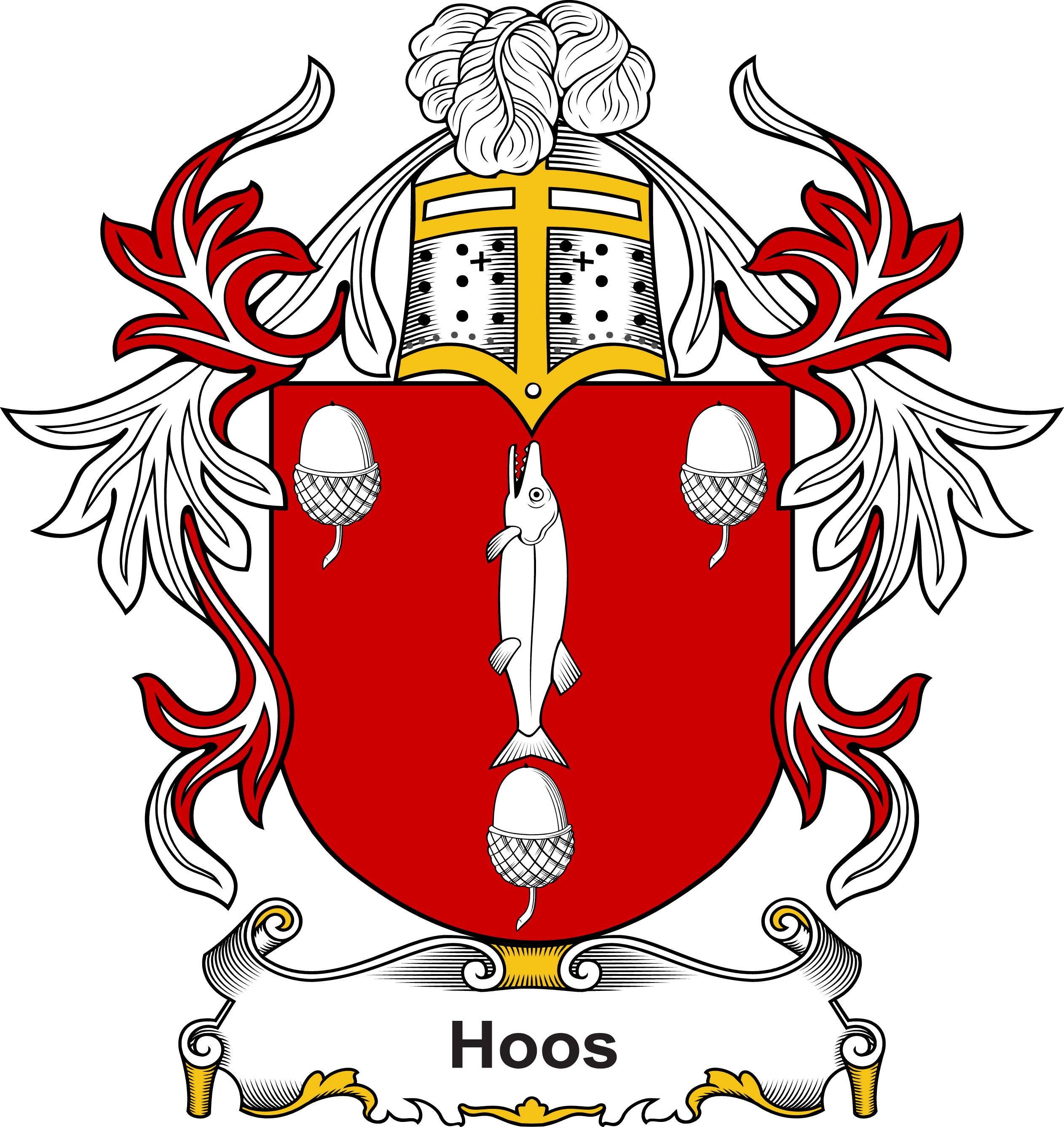 HOOS–DUTCH-COA