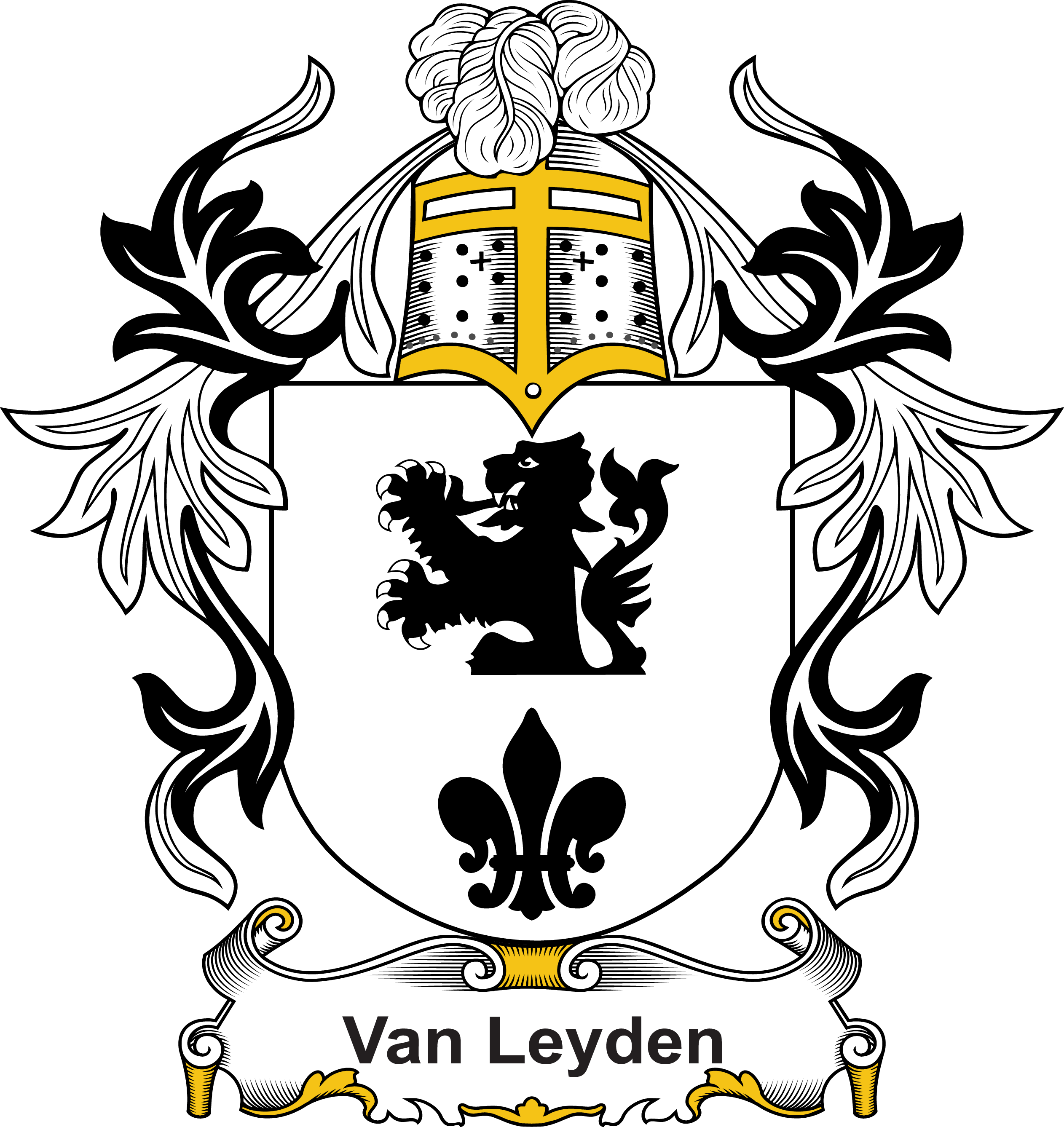 LEYDEN-(VAN)–DUTCH-COA