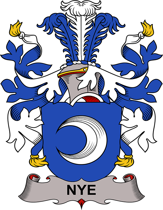 NYE-DENMARK-COA