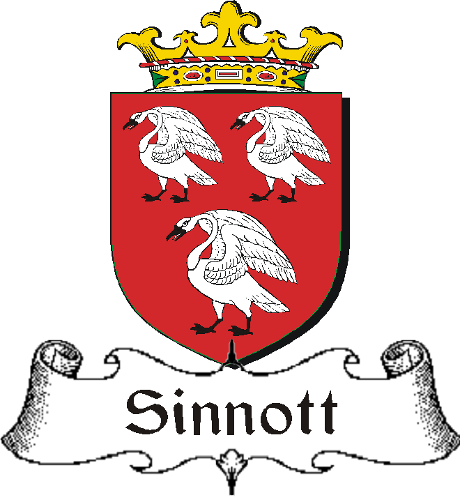 SINNOTT–IRISH-BADGE