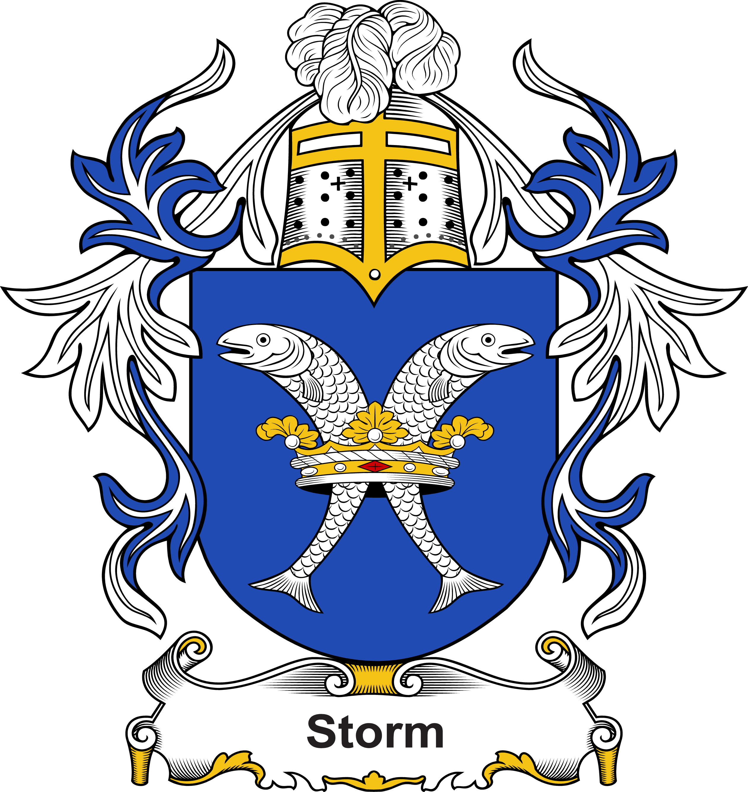 STORM–DUTCH-COA