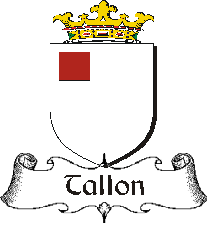 TALLON–IRISH-BADGE