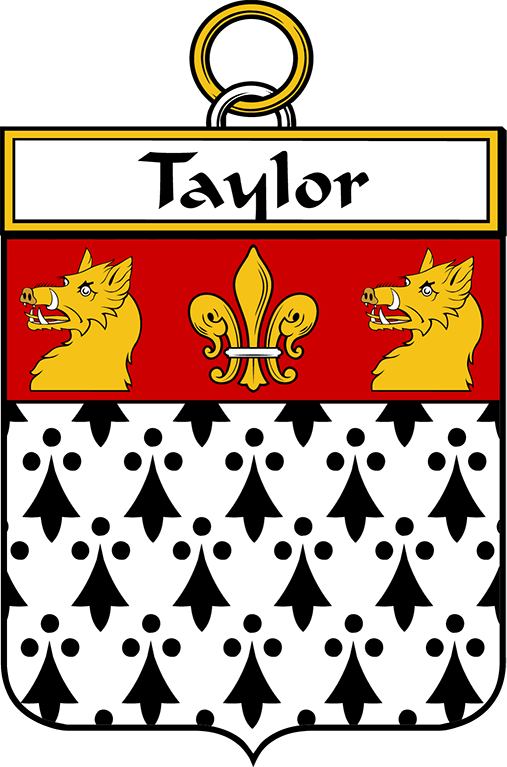TAYLOR–IRISH-SHIELD