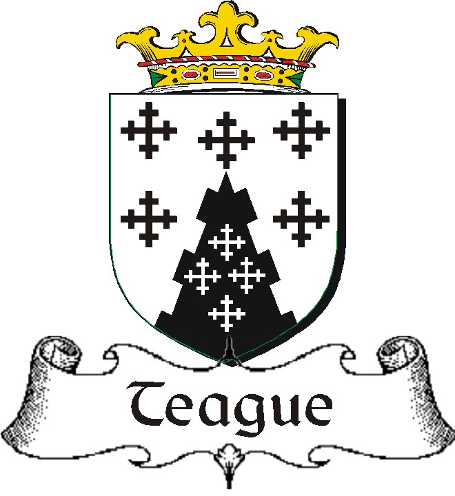 TEAGUE–IRISH-BADGE