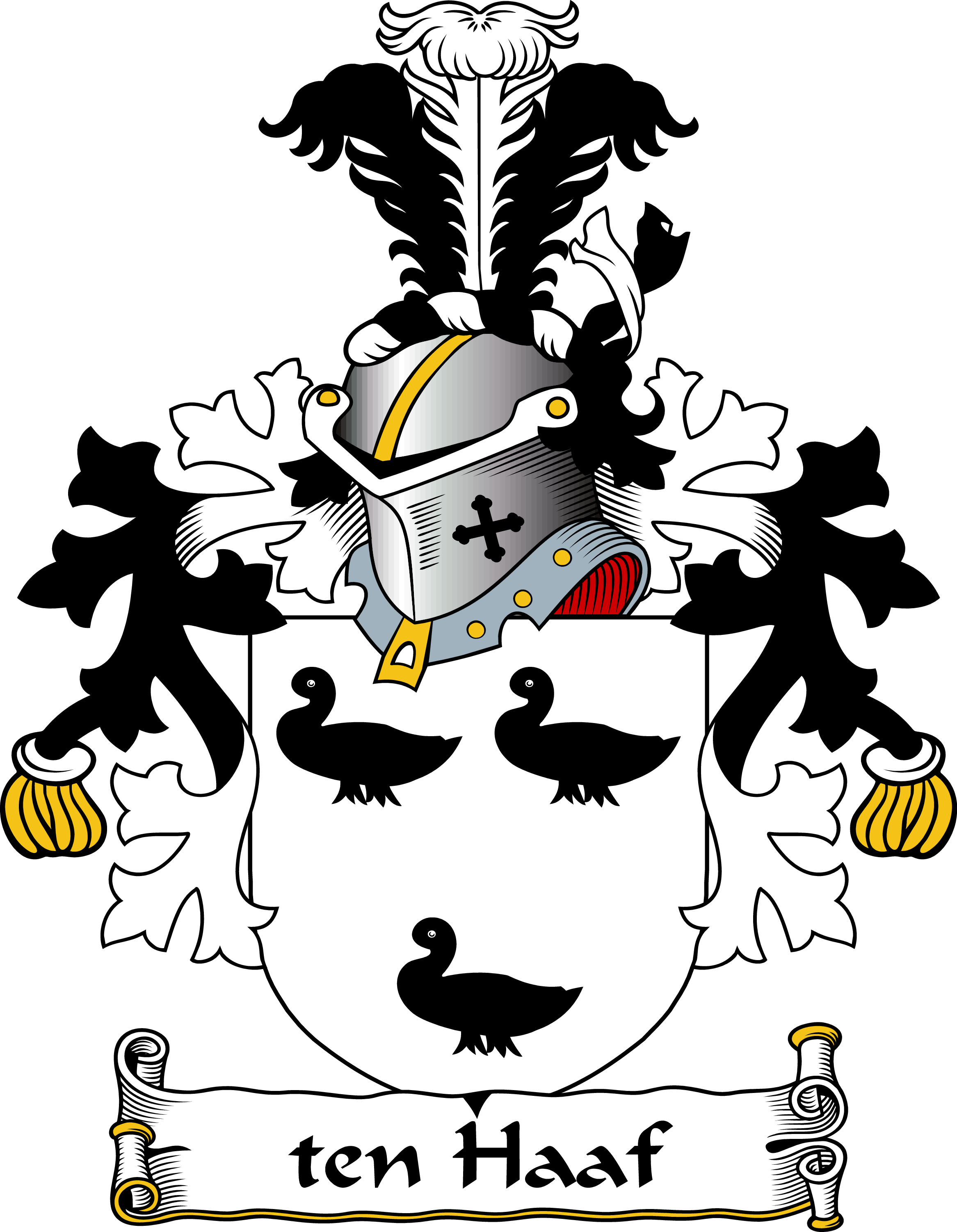 TEN-HAAF-DUTCH-ARMS–DUTCH-COA