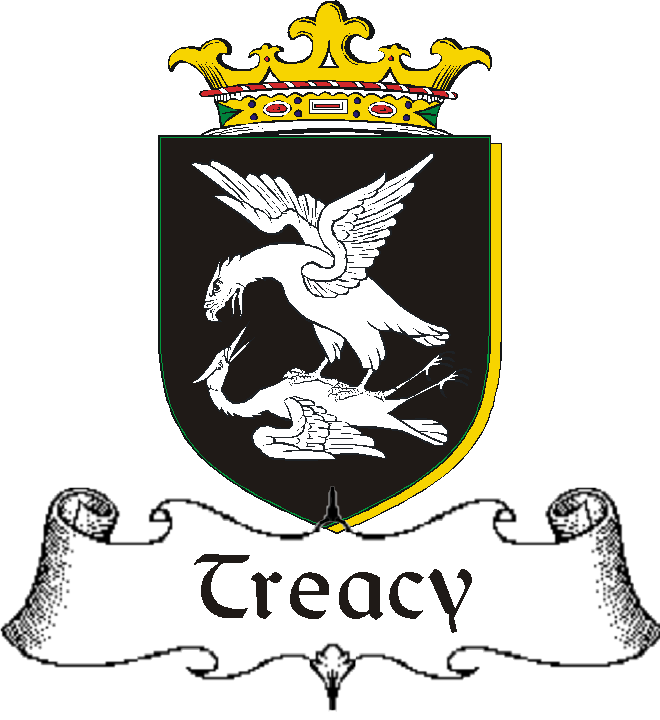 TREACY–IRISH-BADGE