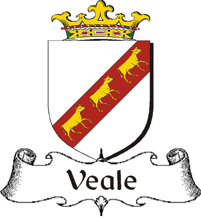 VEALE–IRISH-BADGE