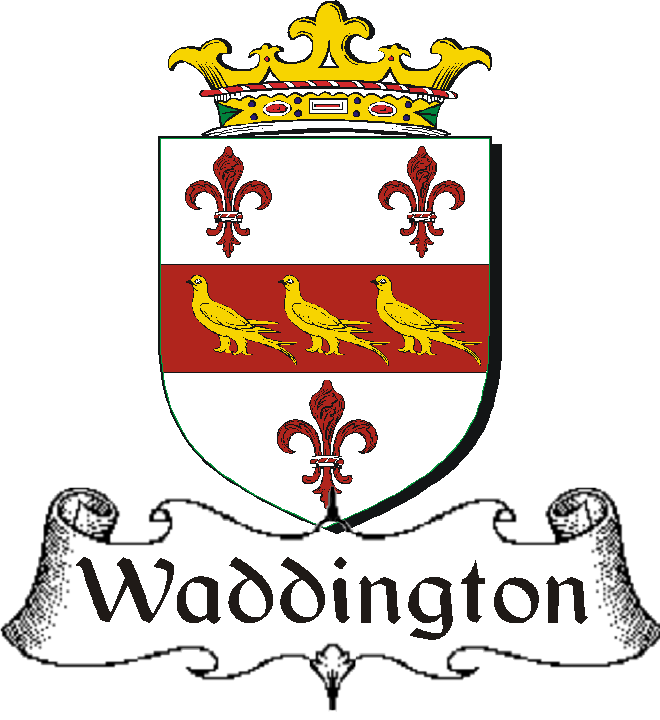 WADDINGTON–IRISH-BADGE