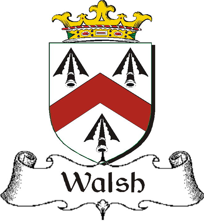 WALSH–IRISH-BADGE