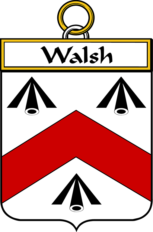 WALSH–IRISH-SHIELD