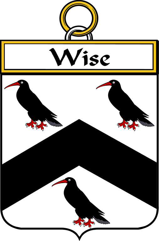 WISE–IRISH-SHIELD