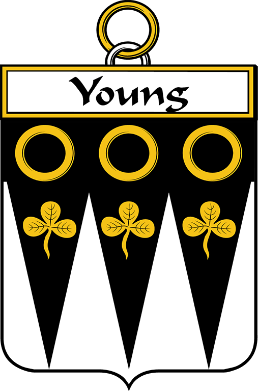 YOUNG–IRISH-SHIELD