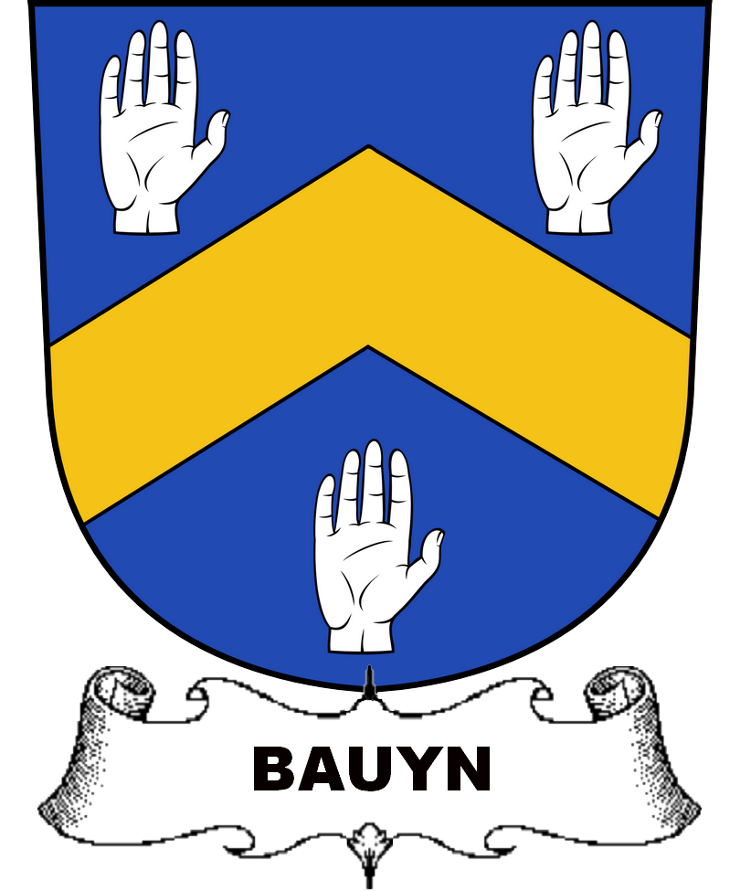BAUYN–SWISS-SHIELDS