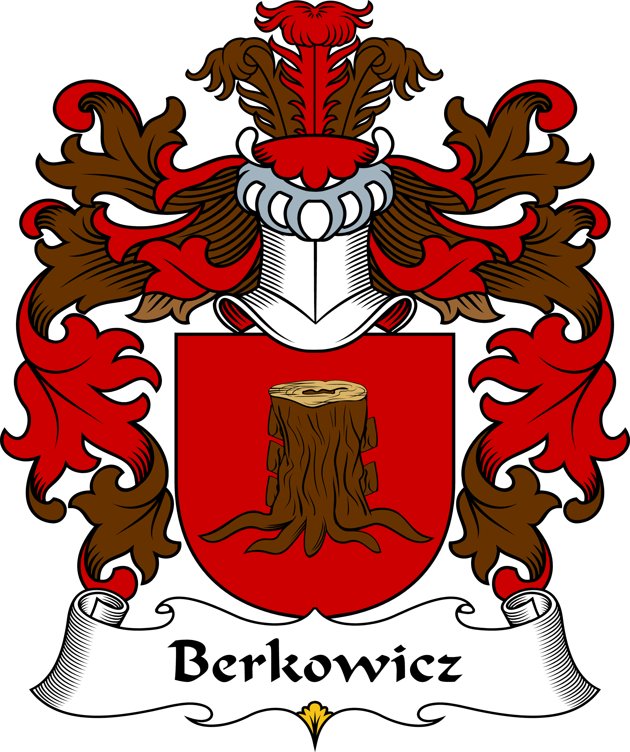 BERKOWICZ-POLISH-ARMS