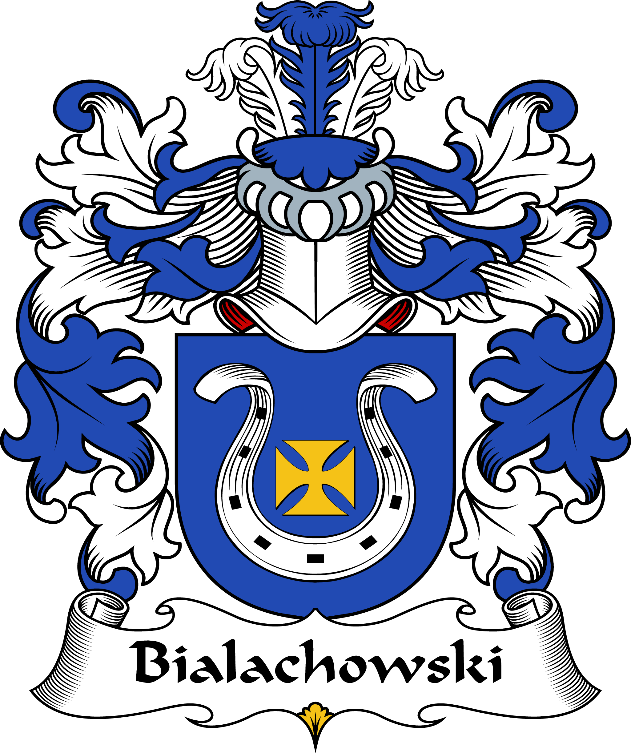 BIALACHOWSKI-POLISH-ARMS