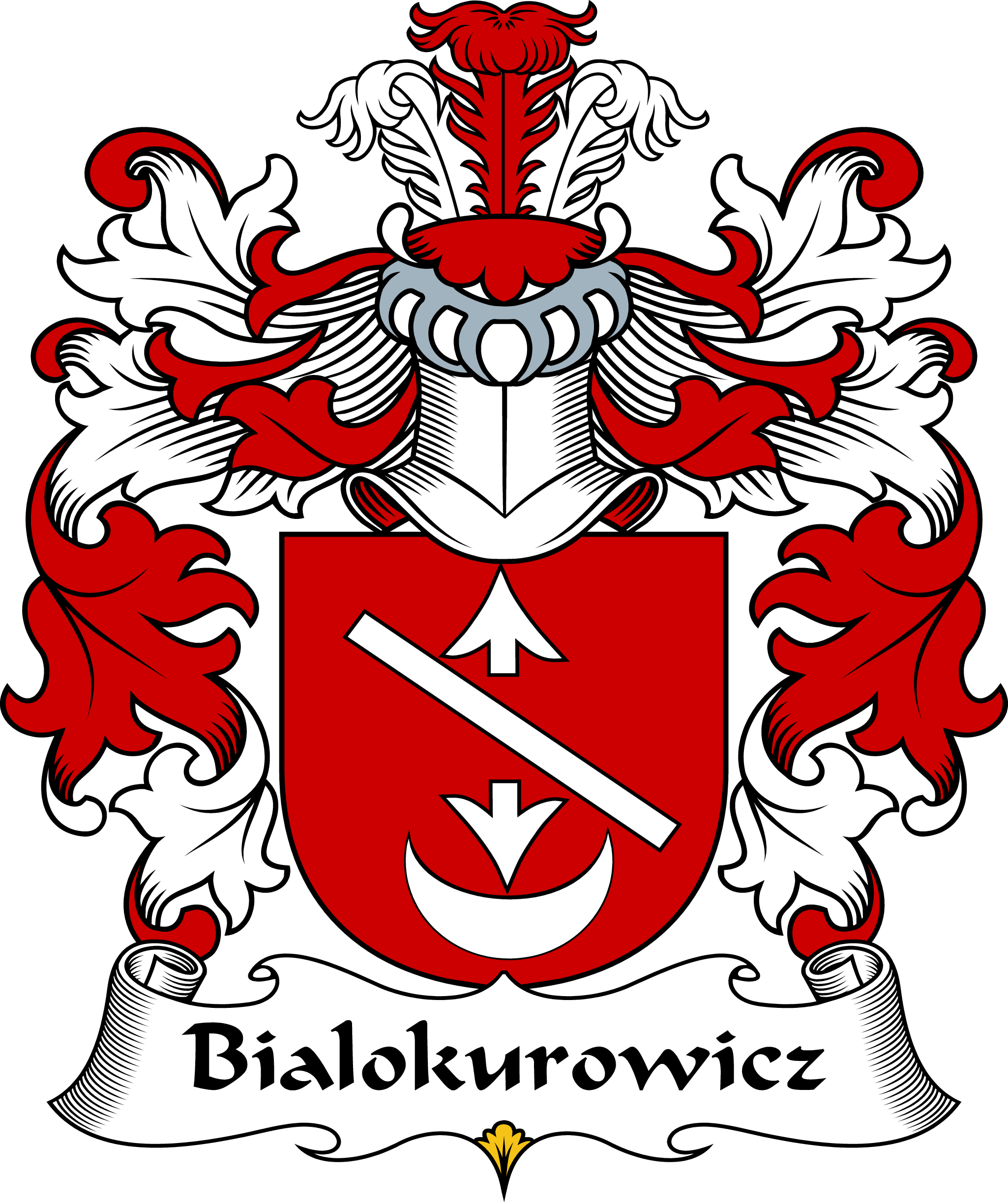 BIALOKUROWICZ-POLISH-ARMS