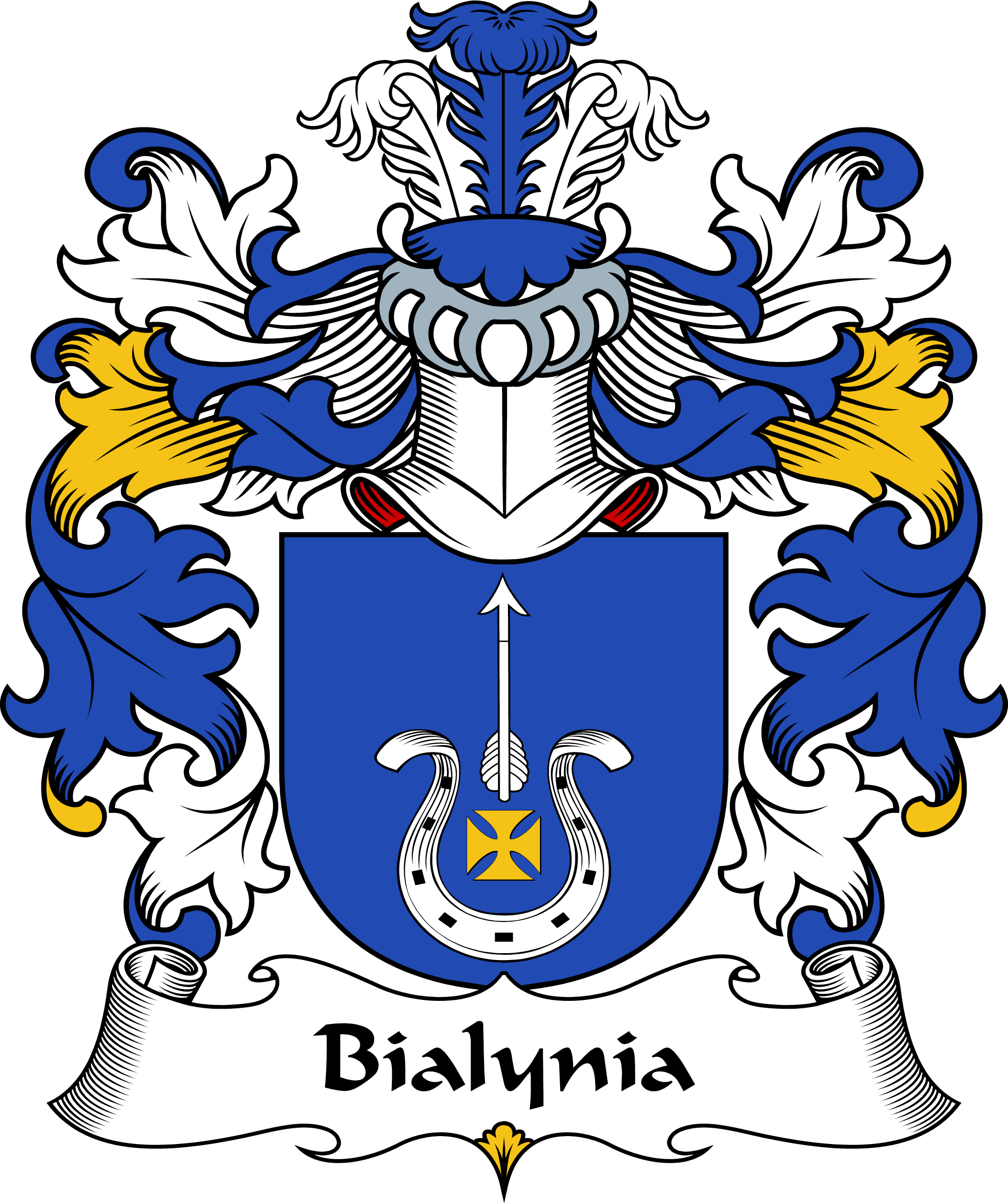 BIALYNIA-POLISH-ARMS