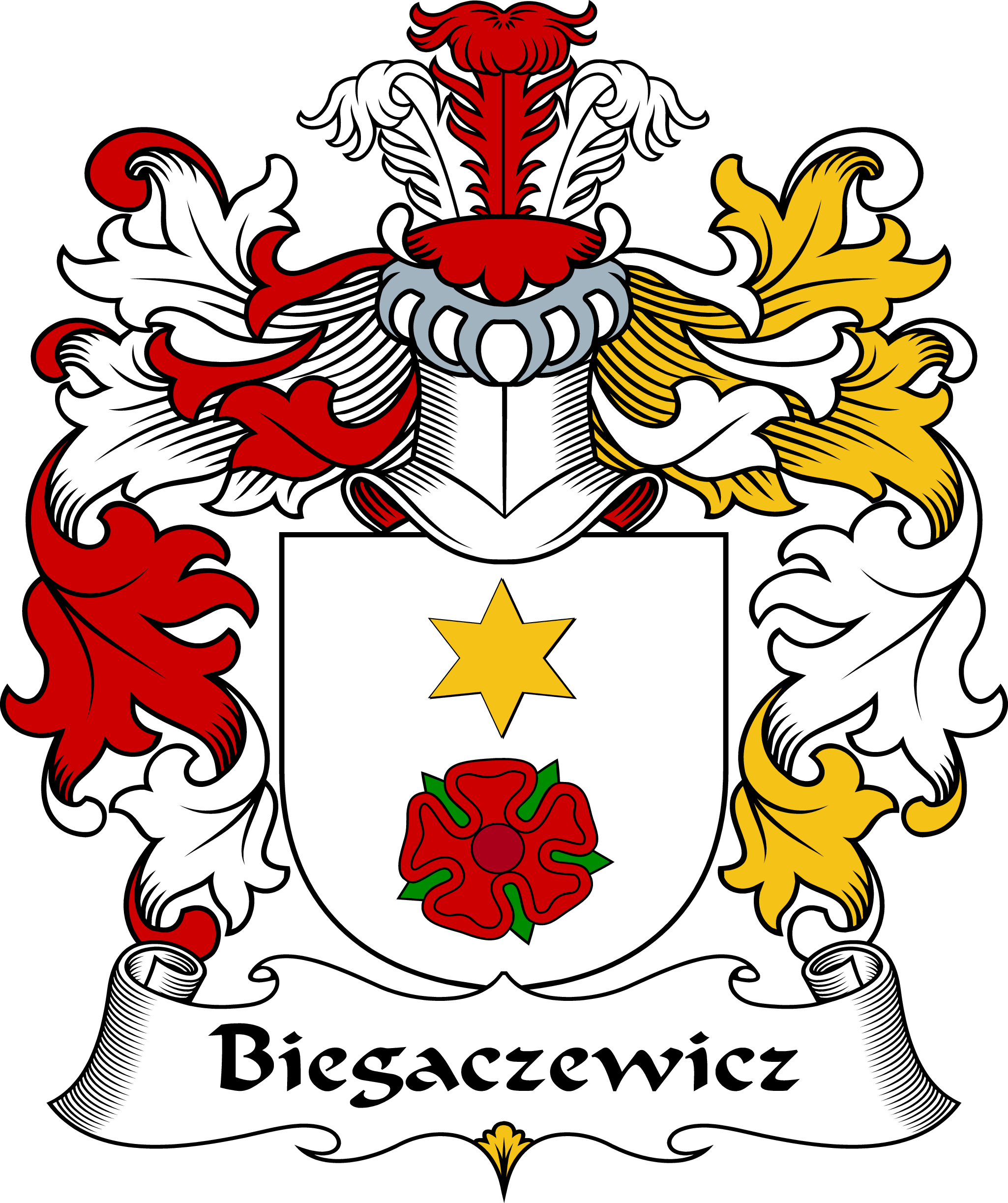 BIEGACZEWICZ-POLISH-ARMS