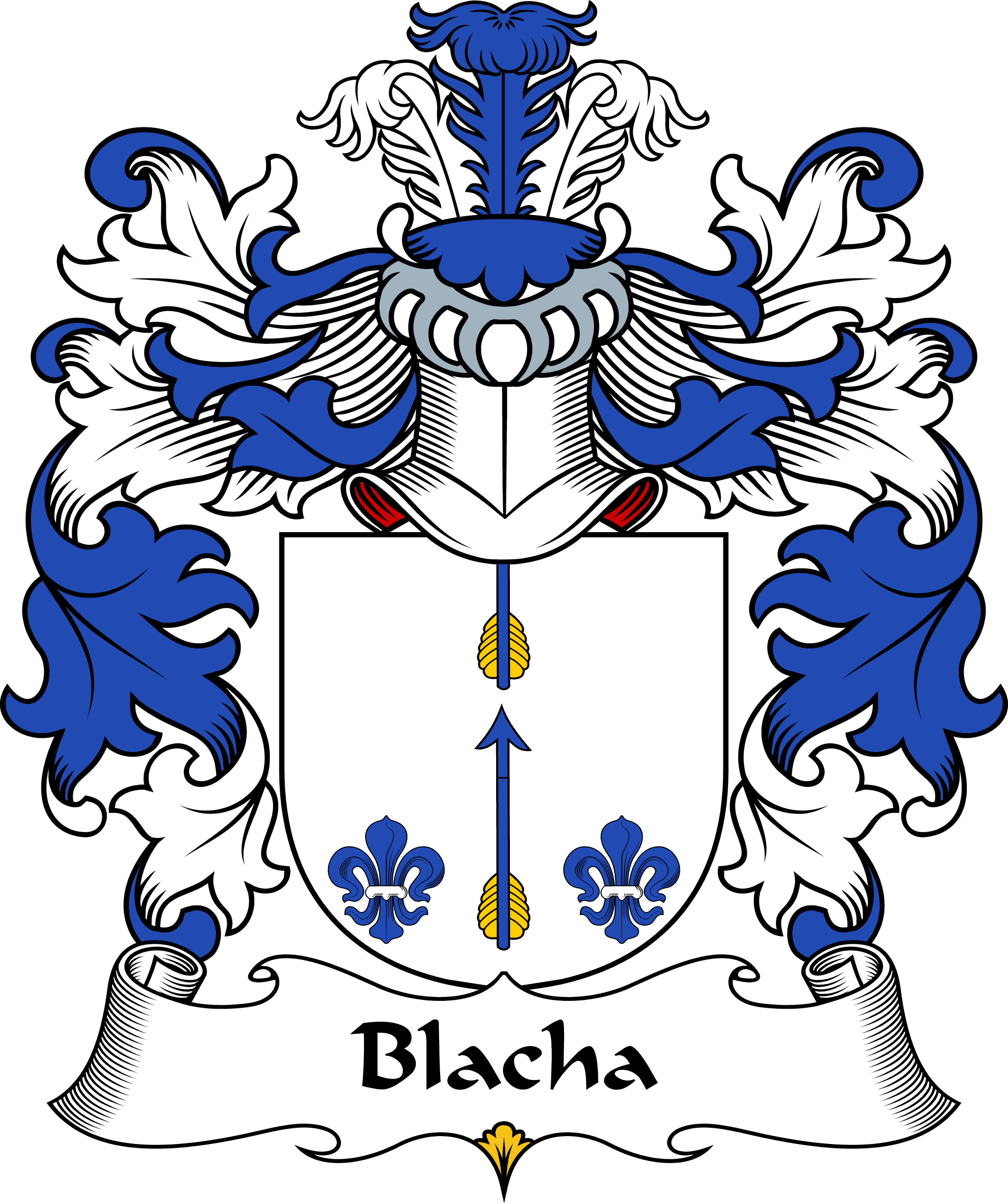 BLACHA-(BUDWICZ)-POLISH-ARMS