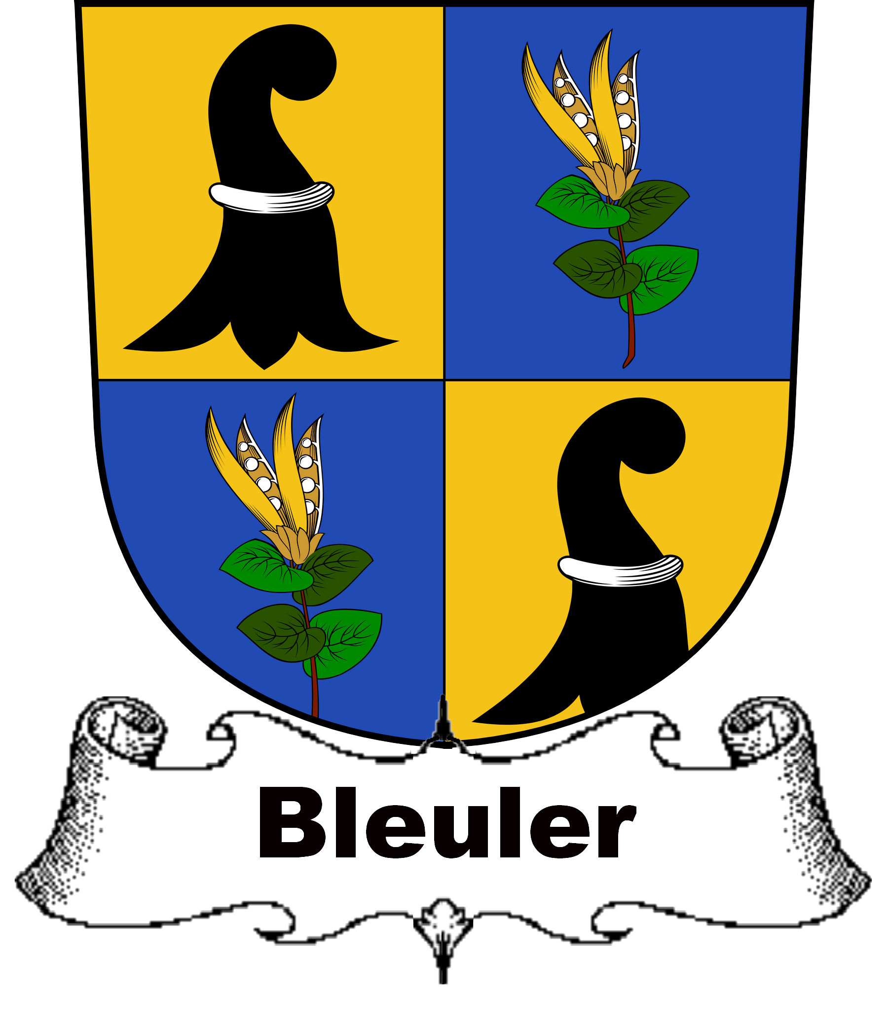 BLEULER–SWISS-SHIELDS