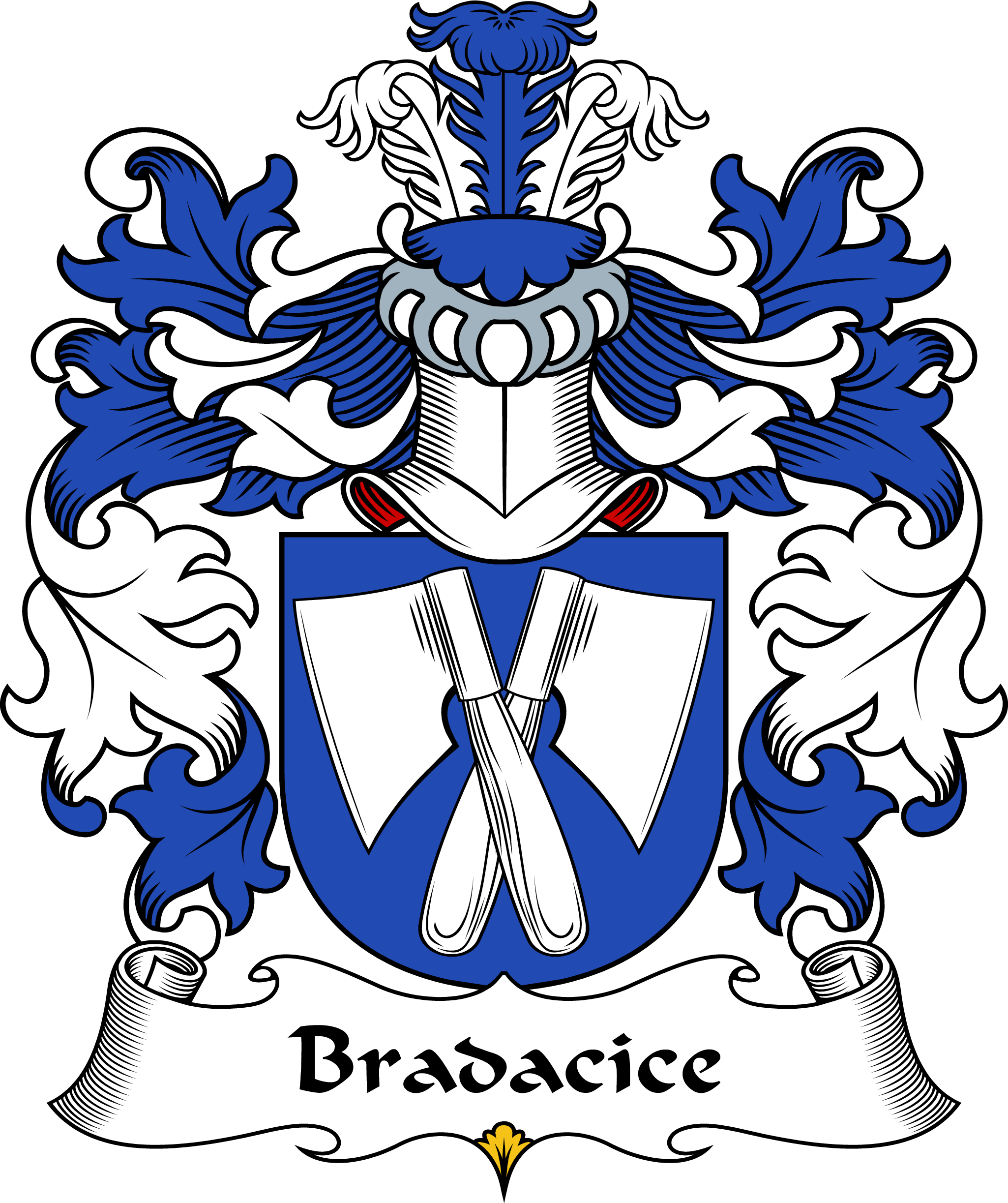 BRADACICE-OR-BRADCZYCE-POLISH-ARMS