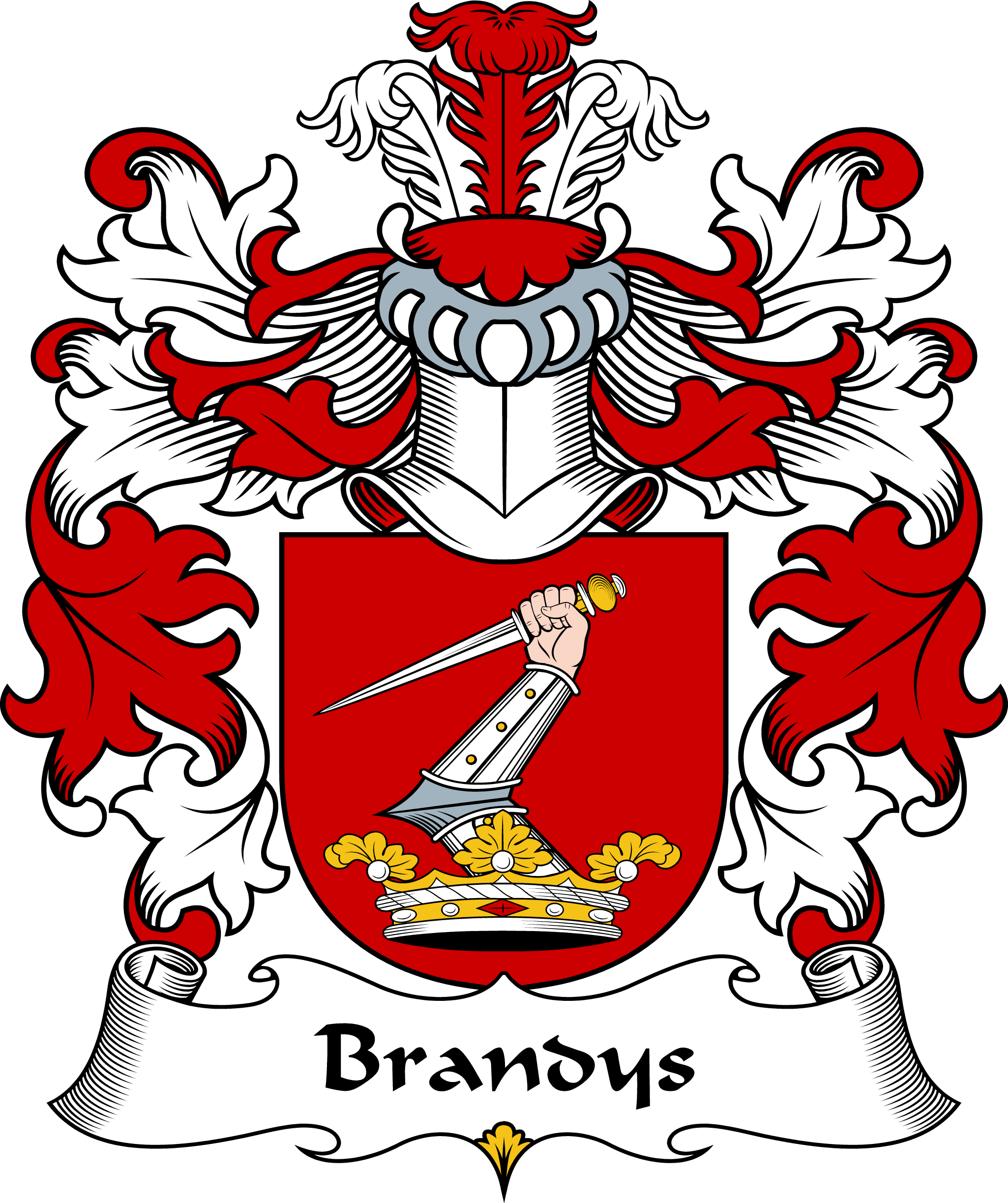 BRANDYS-POLISH-ARMS