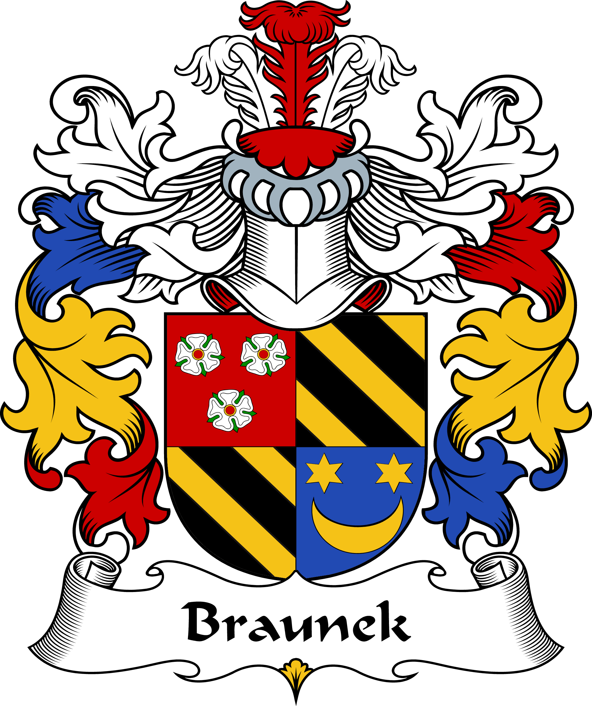 BRAUNEK-POLISH-ARMS