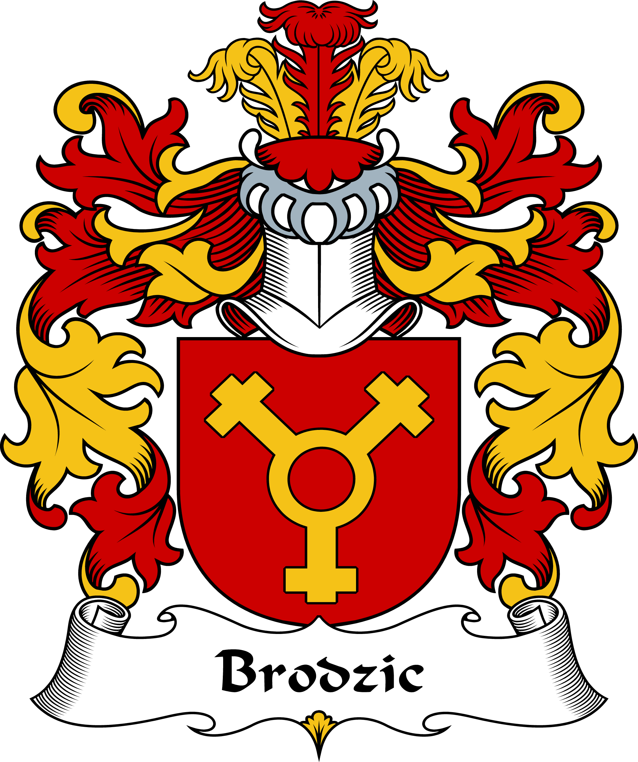 BRODZIC-POLISH-ARMS