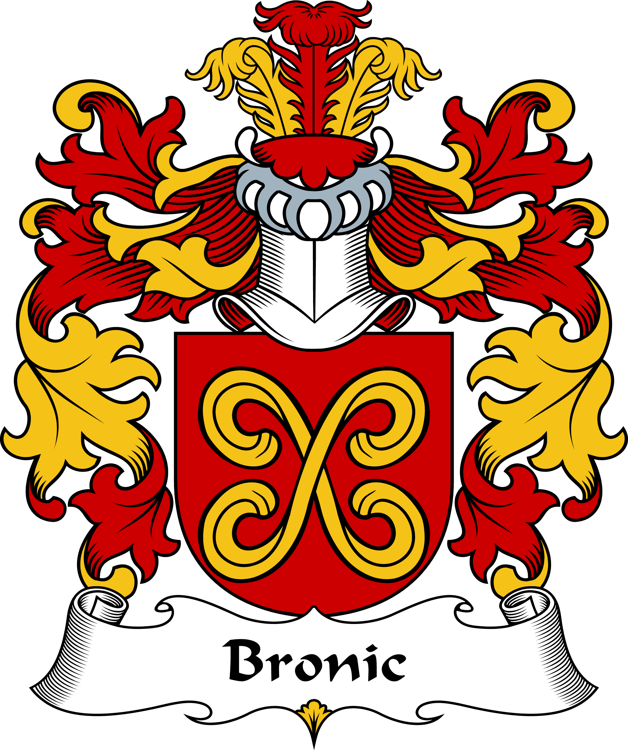 BRONIC-POLISH-ARMS