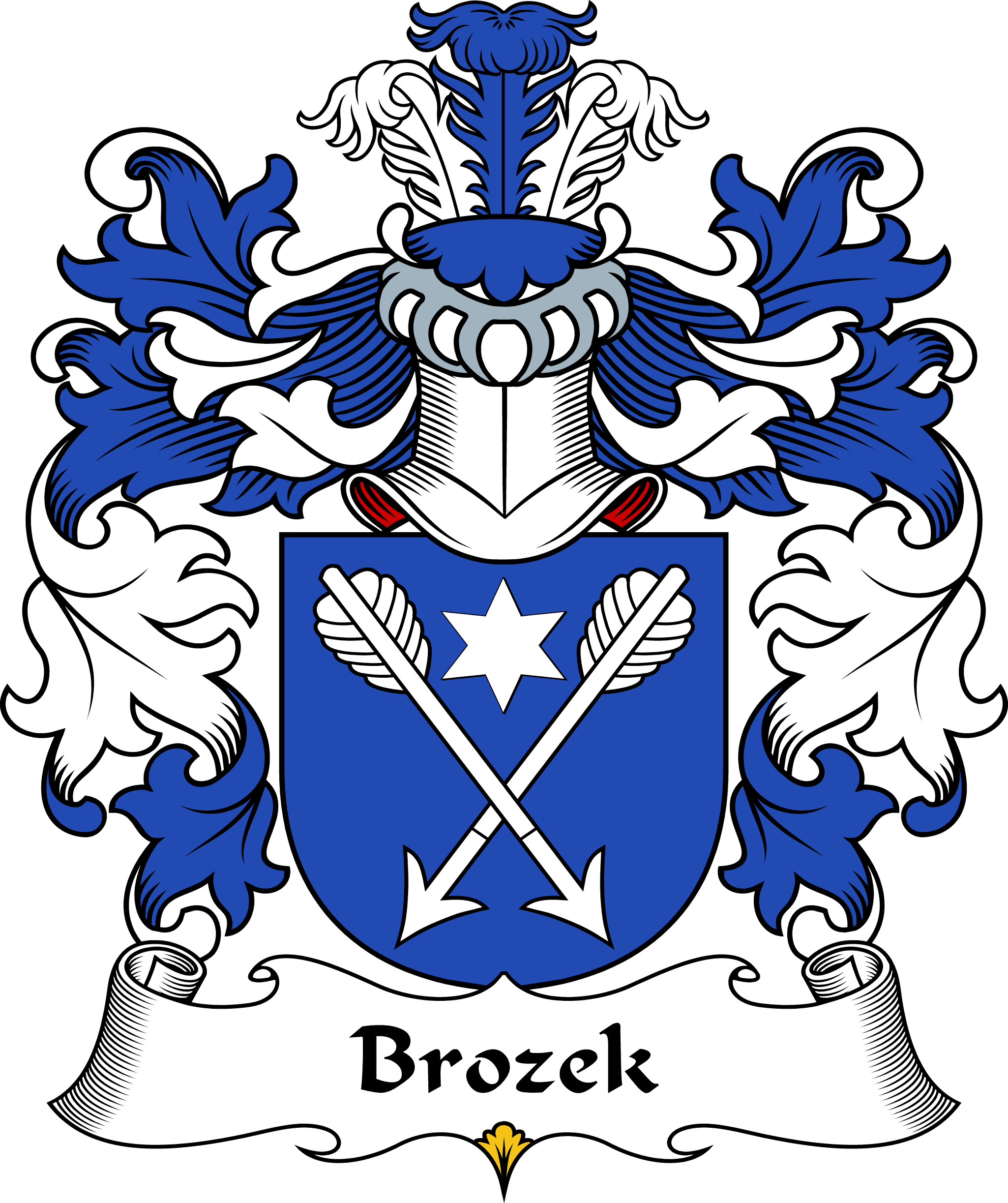 BROZEK-POLISH-ARMS