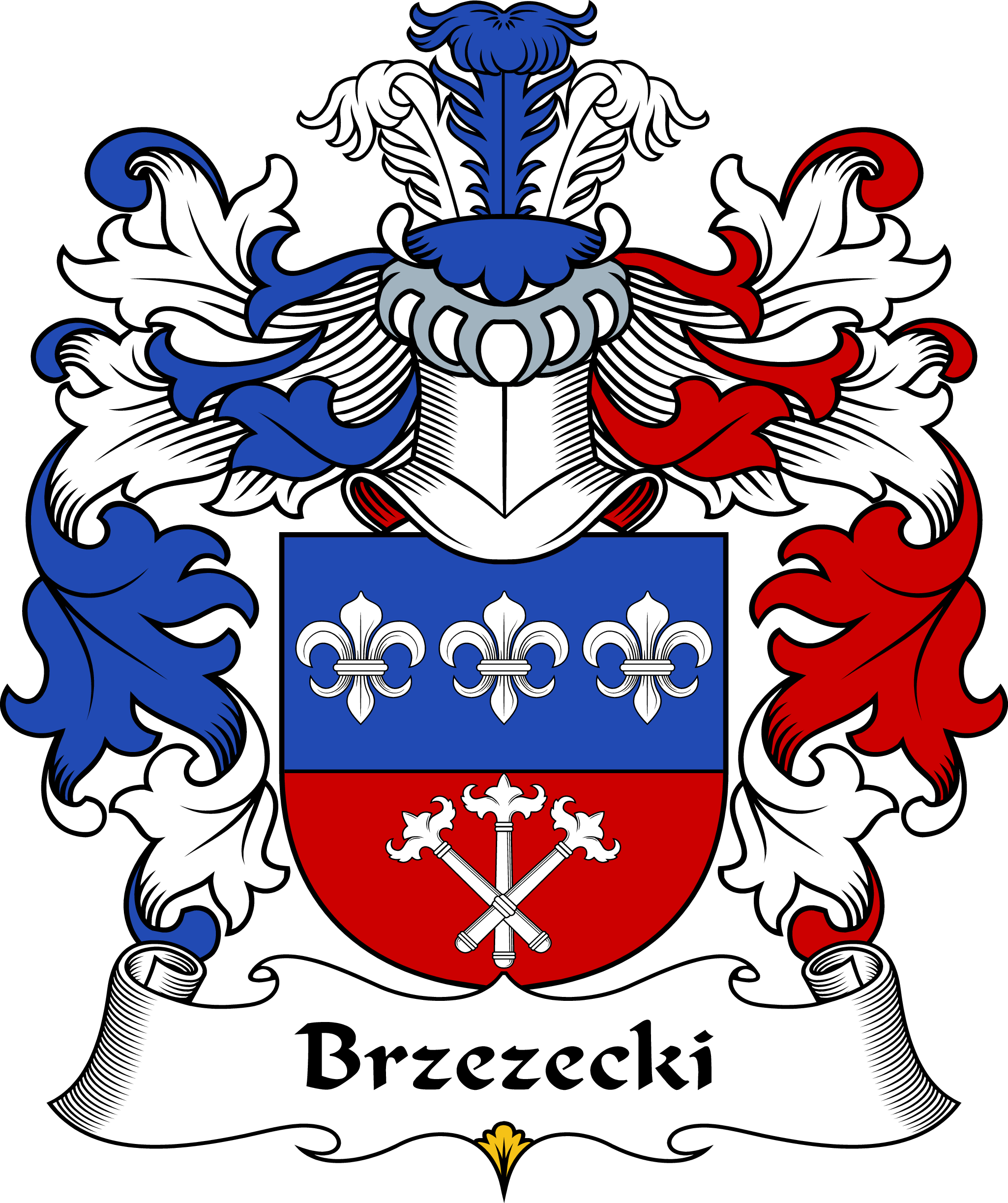 BRZEZECKI-POLISH-ARMS