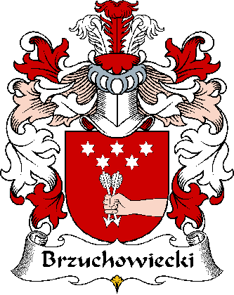 BRZUCHOWIECK—POLISH-ARMSI