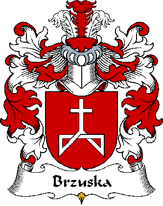 BRZUSKA-POLISH-ARMS